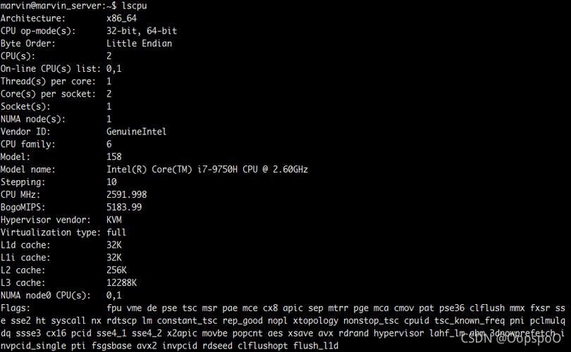 linux操作系统简介_第1关:了解你的linux系统计算机csdn-csdn博客