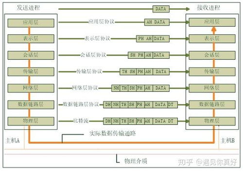 计算机网络体系结构